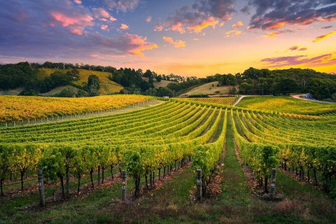 Swan Valley Sunset Wine Tour - Premium Small Group Tour - Lightning Ridge Tourism 0