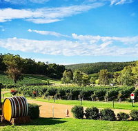 Bickley Valley Wine  Cider Tour - Premium Small Group Tour - Lightning Ridge Tourism