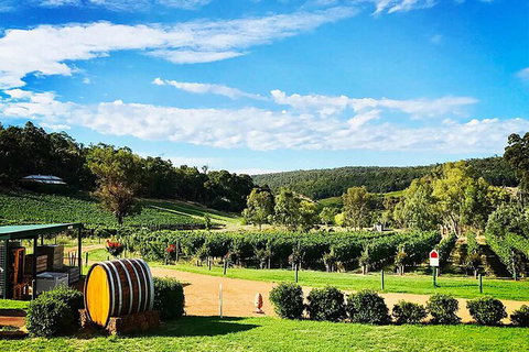 Bickley Valley Wine & Cider Tour - Premium Small Group Tour - Lightning Ridge Tourism 0