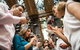 Bickley Valley Wine & Cider Tour - Premium Small Group Tour - thumb 3