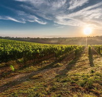 Perth to Margaret River Wine Tour - 2 Day Premium Boutique Wine Tour Experience - Lightning Ridge Tourism