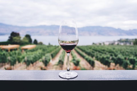 Full-Day Gourmet Wine Tour With Pick Up And Lunch - Lightning Ridge Tourism 1