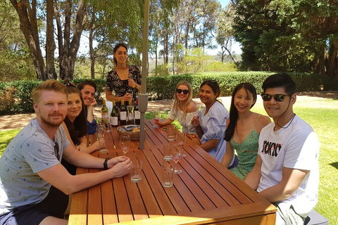 Full-Day Gourmet Wine Tour With Pick Up And Lunch - Lightning Ridge Tourism 5