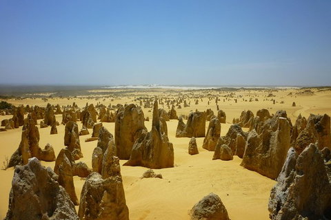 Pinnacles Desert Private Tour - Lightning Ridge Tourism 5