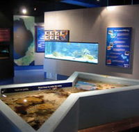 Marine and Freshwater Discovery Centre - Lightning Ridge Tourism
