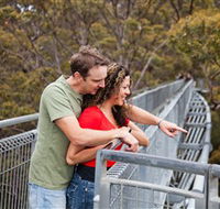 Valley of the Giants Tree Top Walk - Lightning Ridge Tourism
