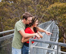 Valley Of The Giants Tree Top Walk - Lightning Ridge Tourism 0