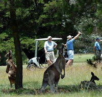 Glen Innes Golf Club - Lightning Ridge Tourism
