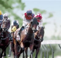 Colac Turf Club - Lightning Ridge Tourism