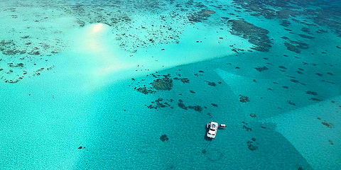 Ocean Free & Ocean Freedom - Cairns Premier Reef And Island Tours - Lightning Ridge Tourism 3