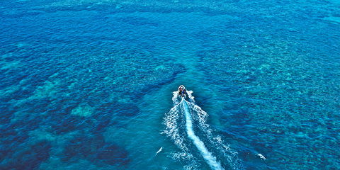 Ocean Free & Ocean Freedom - Cairns Premier Reef And Island Tours - Lightning Ridge Tourism 4