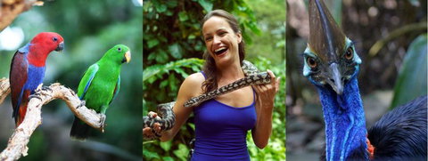 Wildlife Habitat - Lightning Ridge Tourism 1