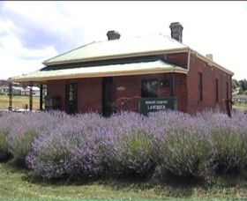  Lightning Ridge Tourism