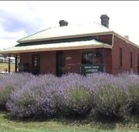 Lavender House in Railway Park - Lightning Ridge Tourism