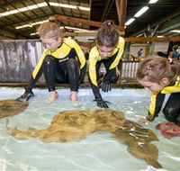 Australian Shark and Ray Centre - Lightning Ridge Tourism