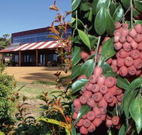 Bushfood Factory and Cafe - Lightning Ridge Tourism