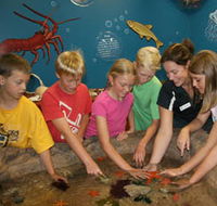 Naturaliste Marine Discovery Centre - Lightning Ridge Tourism
