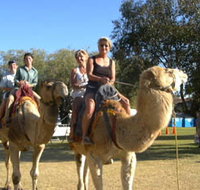 Calamunnda Camel Farm - Lightning Ridge Tourism