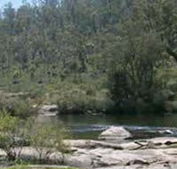 Wellington Discovery Forest - Lightning Ridge Tourism
