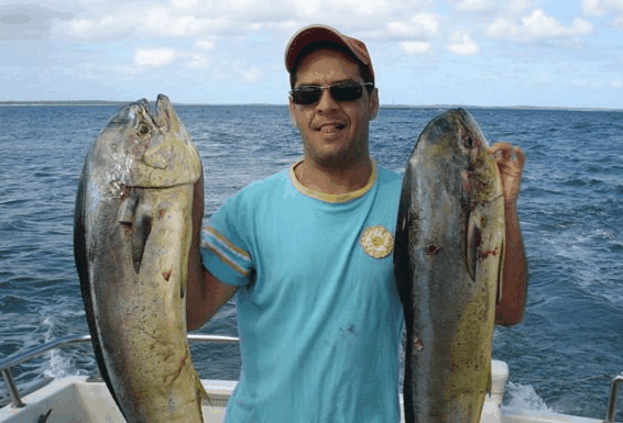 Jervis Bay Fishing and Charters - Lightning Ridge Tourism