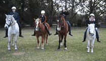 Valhalla Horse Riding - Lightning Ridge Tourism 1