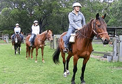 Valhalla Horse Riding - Lightning Ridge Tourism 2