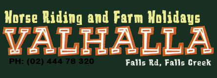 Valhalla Horse Riding - Lightning Ridge Tourism 4