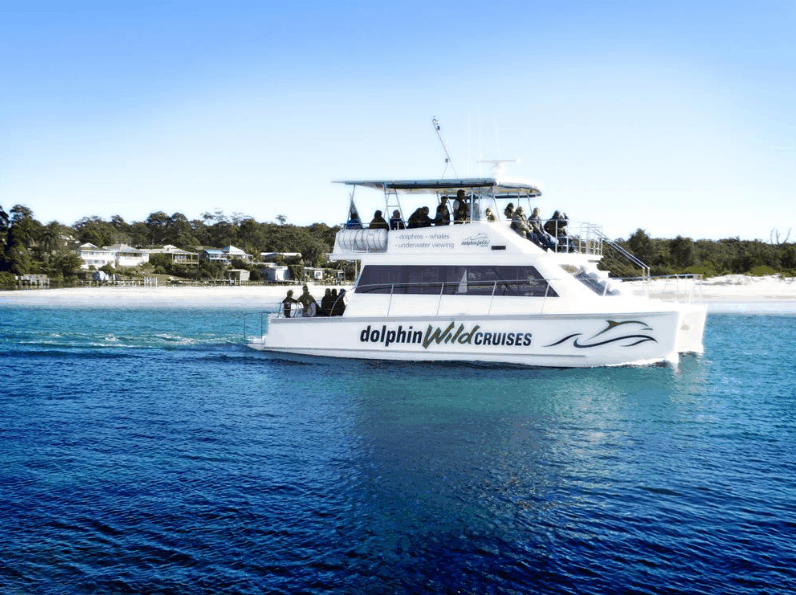 Dolphin Wild Cruises - Lightning Ridge Tourism 1
