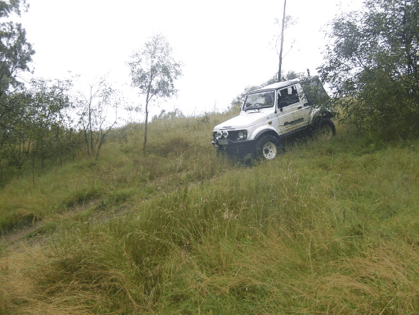 Scenic Rim Adventure Park - thumb 1