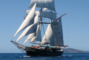 Australian Tallship Cruises - Lightning Ridge Tourism 0