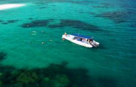 Ocean Safari - Lightning Ridge Tourism 1
