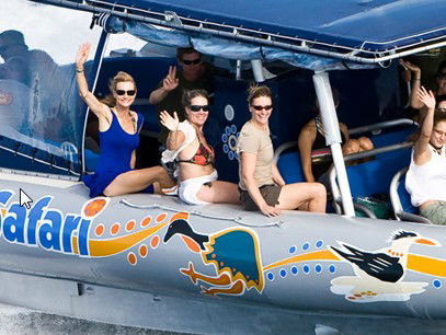 Ocean Safari - Lightning Ridge Tourism 3