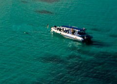 Ocean Safari - Lightning Ridge Tourism 5