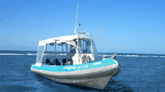 Yongala Dive  - thumb 1