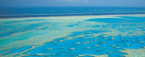 Aristocat Snorkel And Scuba Port Douglas - Lightning Ridge Tourism 3