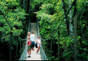 BTS Tours Pty Ltd - Lightning Ridge Tourism 4