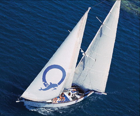 Ocean Free & Ocean Freedom - Cairns Premier Reef And Island Tours - Lightning Ridge Tourism 0