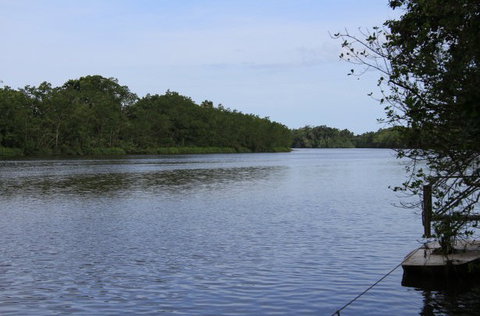 Daintree River Cruise Centre - Lightning Ridge Tourism 2