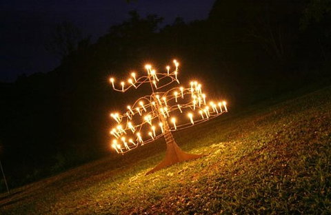 Flames Of The Forest - Lightning Ridge Tourism 4