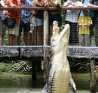 Hartley's Crocodile Adventures - Lightning Ridge Tourism