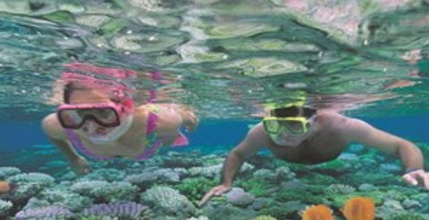 Quicksilver Cruises - Lightning Ridge Tourism 2