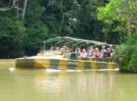 Rainforestation Nature Park - Lightning Ridge Tourism 4