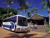 Rainforestation Nature Park - Lightning Ridge Tourism 5