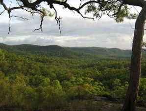 Cooktown Aboriginal Art Tours - Lightning Ridge Tourism 1
