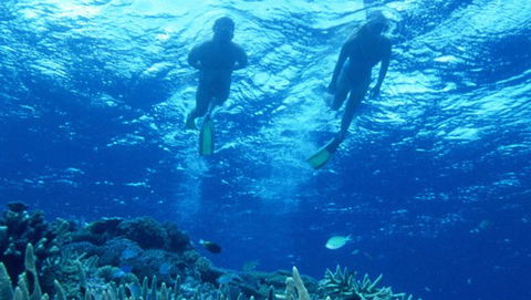 Air Whitsunday Day Tours - Lightning Ridge Tourism 1