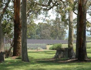 Stanthorpe QLD Lightning Ridge Tourism