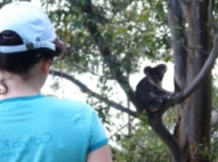 Araucaria Ecotours - Lightning Ridge Tourism 1