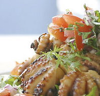 Nicks Bar and Grill - Lightning Ridge Tourism