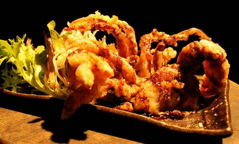 O'Sushi Japanese Restaurant - Lightning Ridge Tourism 3