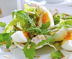 Montville QLD Lightning Ridge Tourism